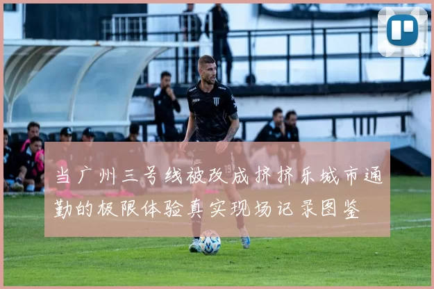 当广州三号线被改成挤挤乐城市通勤的极限体验真实现场记录图鉴